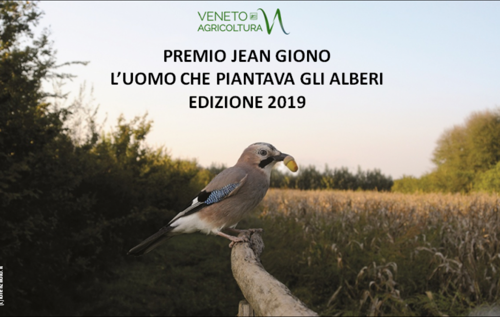 Premio Annuale Jean Giono Luomo Che Piantava Gli Alberi SISEF ORG