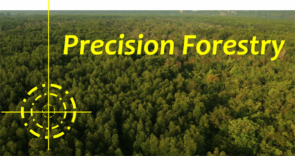 Precision Forestry prospettive e applicazioni a supporto dell