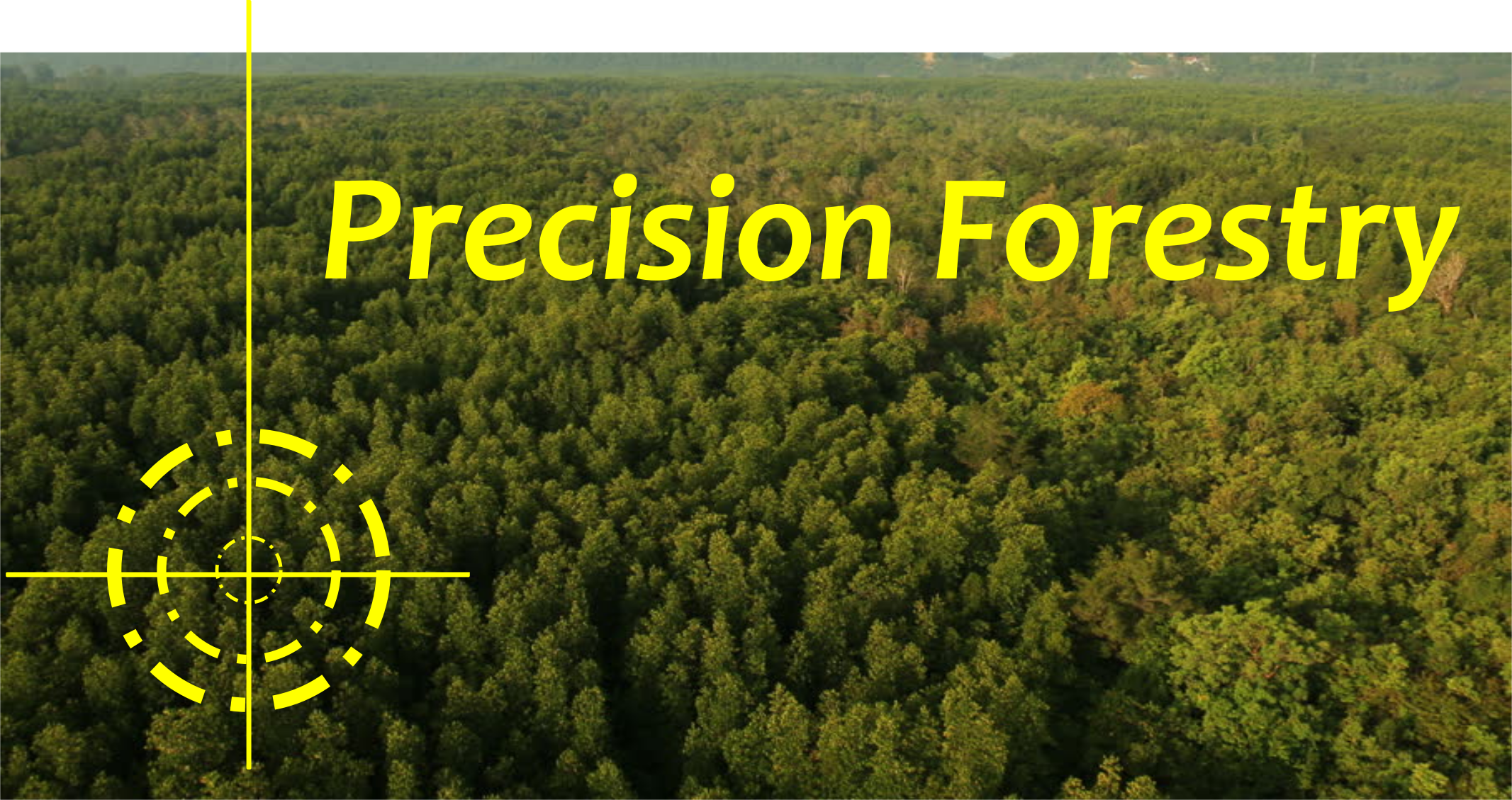 Precision Forestry prospettive e applicazioni a supporto dell