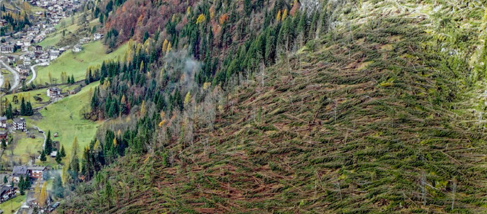 Convegno La Tempesta Vaia Disastro O Opportunit Per Le Foreste Del convegno-la-tempesta-vaia-disastro-o-opportunit-per-le-foreste-del