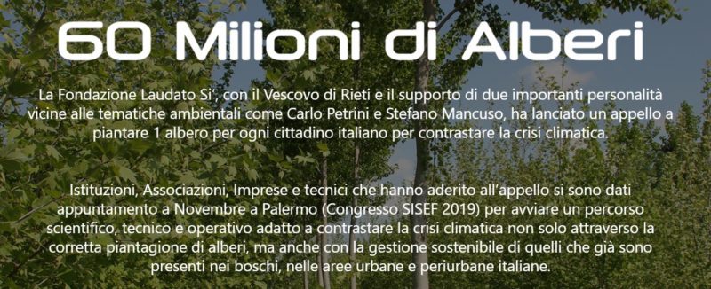 Piantiamo 60 Milioni Di Alberi, Ma Non Solo! » SISEF.ORG