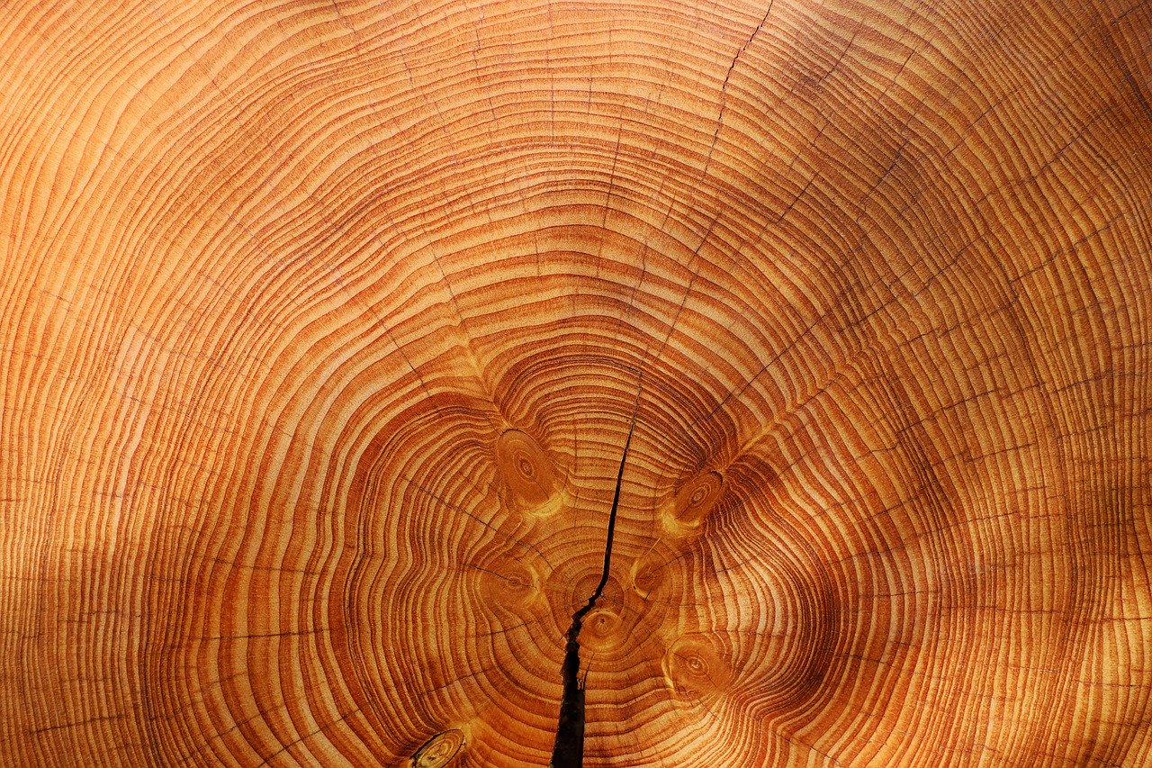 Wood Turning Projects On Lathe