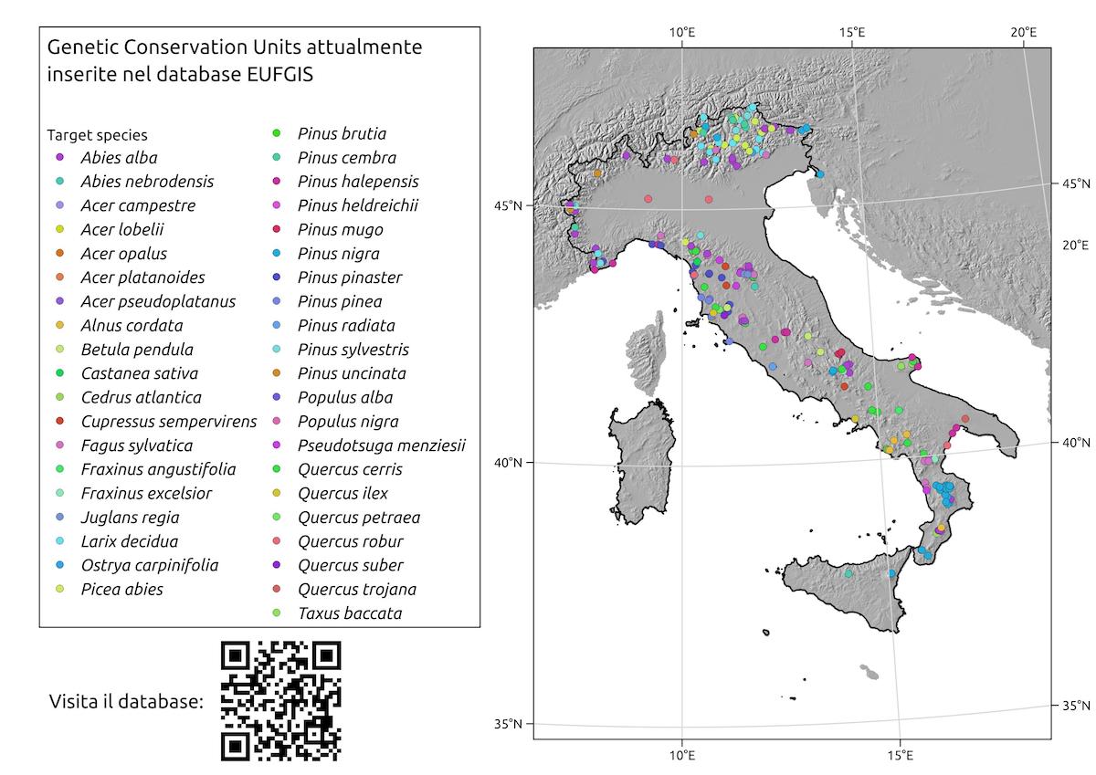 anima alto potenziale europa a