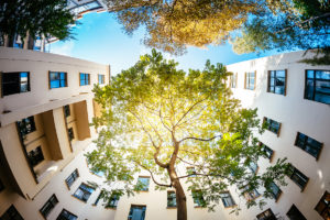 uforest-sondaggio-sulle-esigenze-di-formazione-e-innovazione-nel