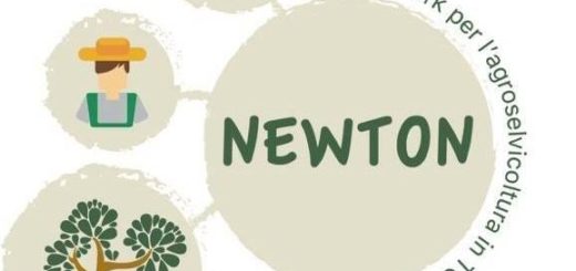 logo-go-Newton