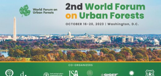 2nd world forum on forests