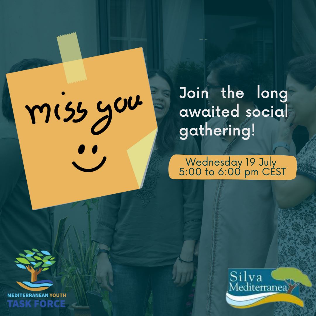Join the Mediterranean Youth Task Force social gathering | SISEF.ORG