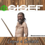 legno-e-società-otzi-rettangolare-def