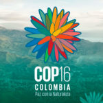 COP16