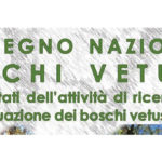 boschi-vetusti