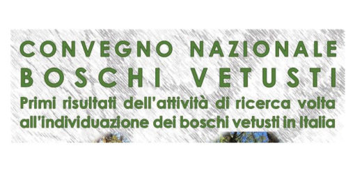 boschi-vetusti