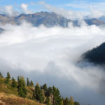 bosco-della-valtrigona-01