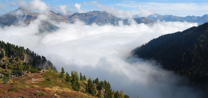 bosco-della-valtrigona-01