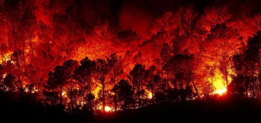 incendi-porto