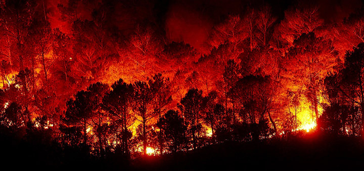 incendi-porto